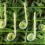 samedi 3 juin : Les musiques du jardin