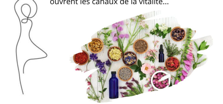 Matinée Qi Gong & aromathérapie Matinée Qi Gong & aromathérapie
