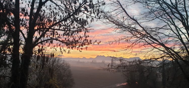 Visites immersives Visites immersives